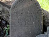 image of grave number 342658